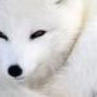 White Fox