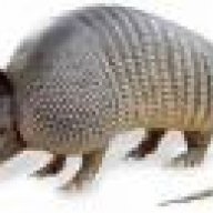 Armadillo