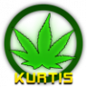 Kurtis